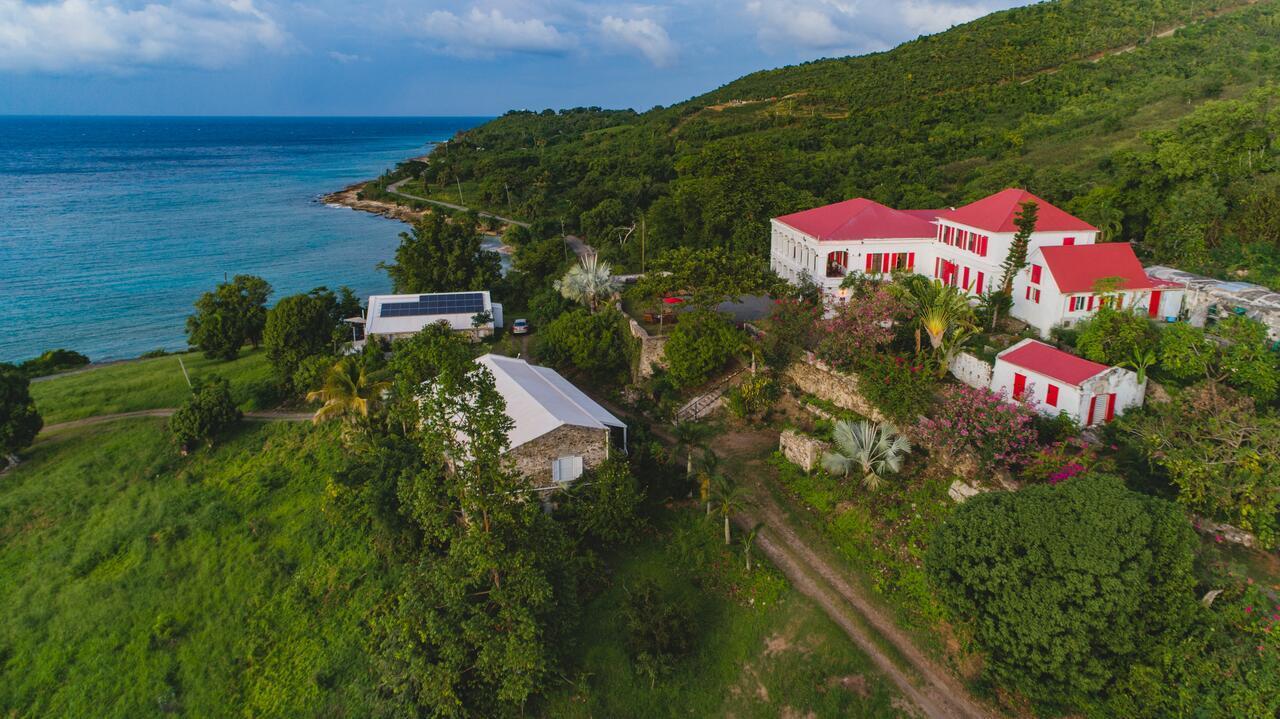 Feather Leaf Inn Frederiksted Buitenkant foto