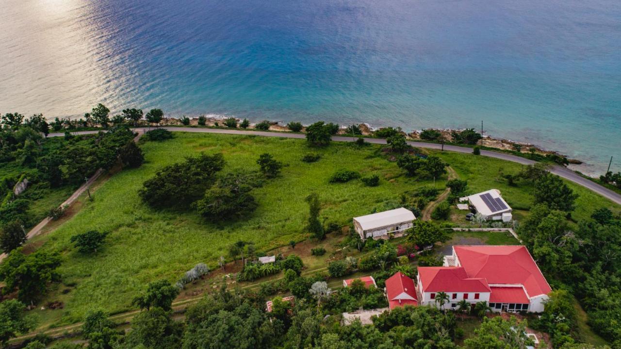Feather Leaf Inn Frederiksted Buitenkant foto