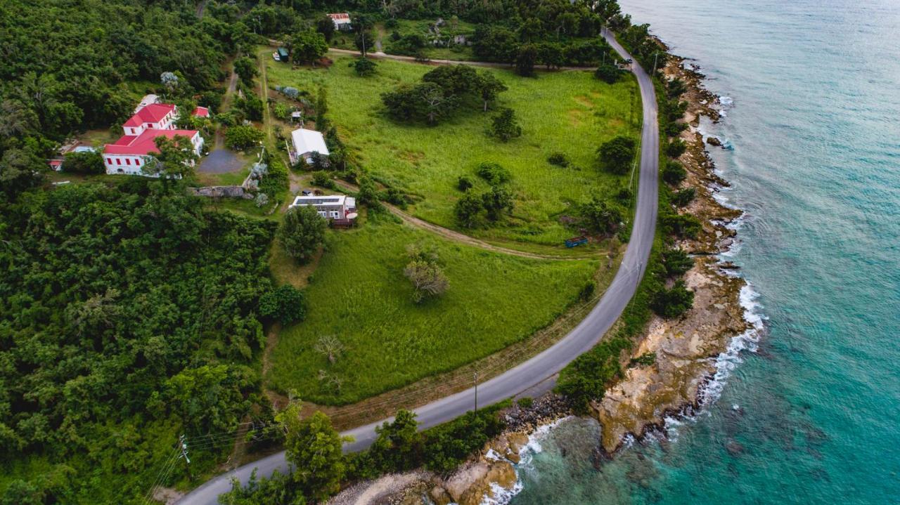 Feather Leaf Inn Frederiksted Buitenkant foto